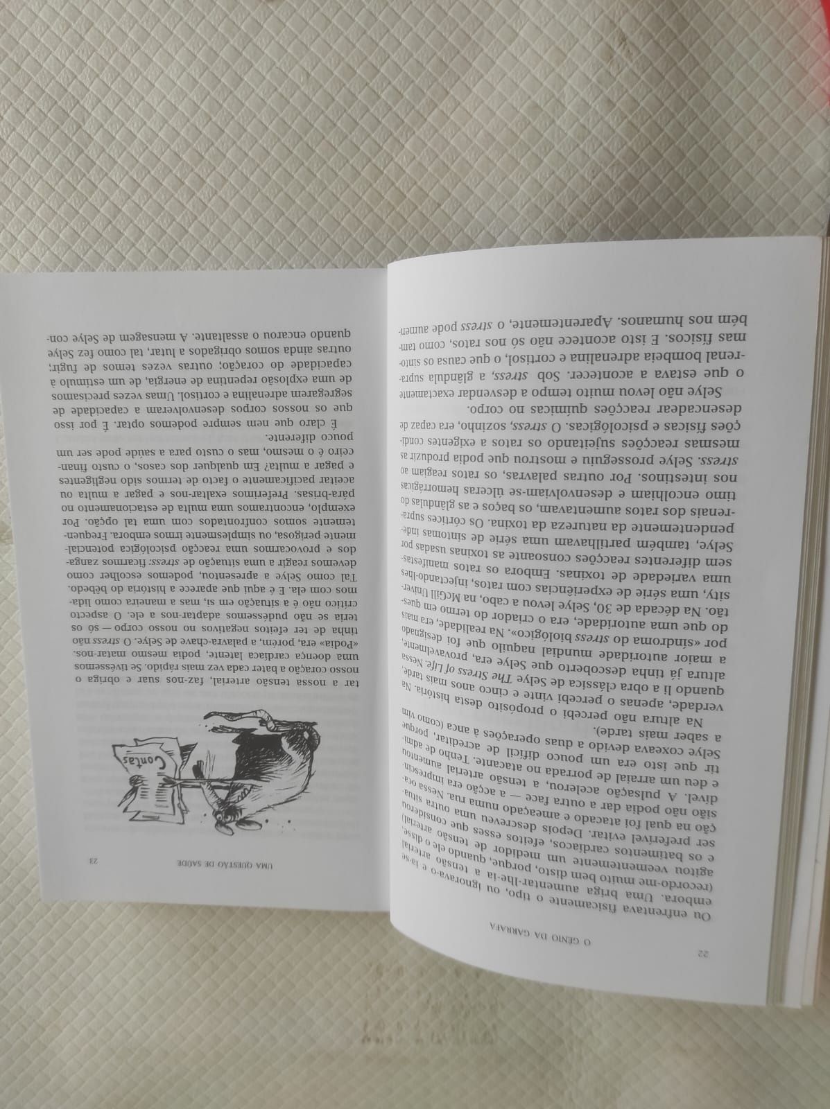 Livro o Gênio da Garrafa