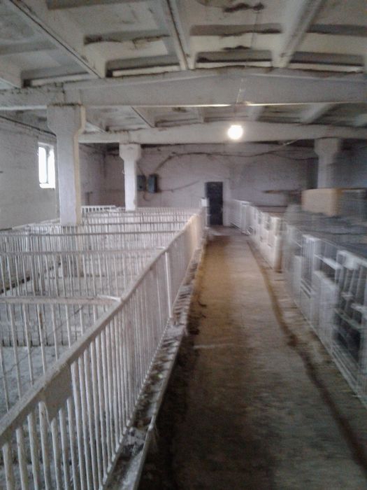 Продам отдельностоящую животноводческую ферму в Криворожском районе