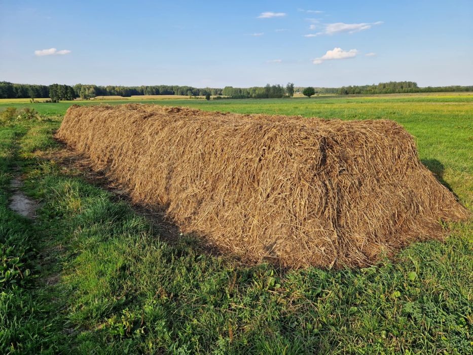 Sprzedam obornik bydlęcy