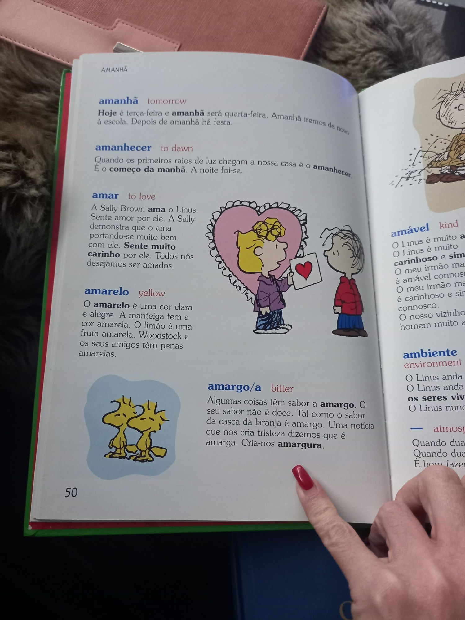 O Dicionario de Charlie Brown