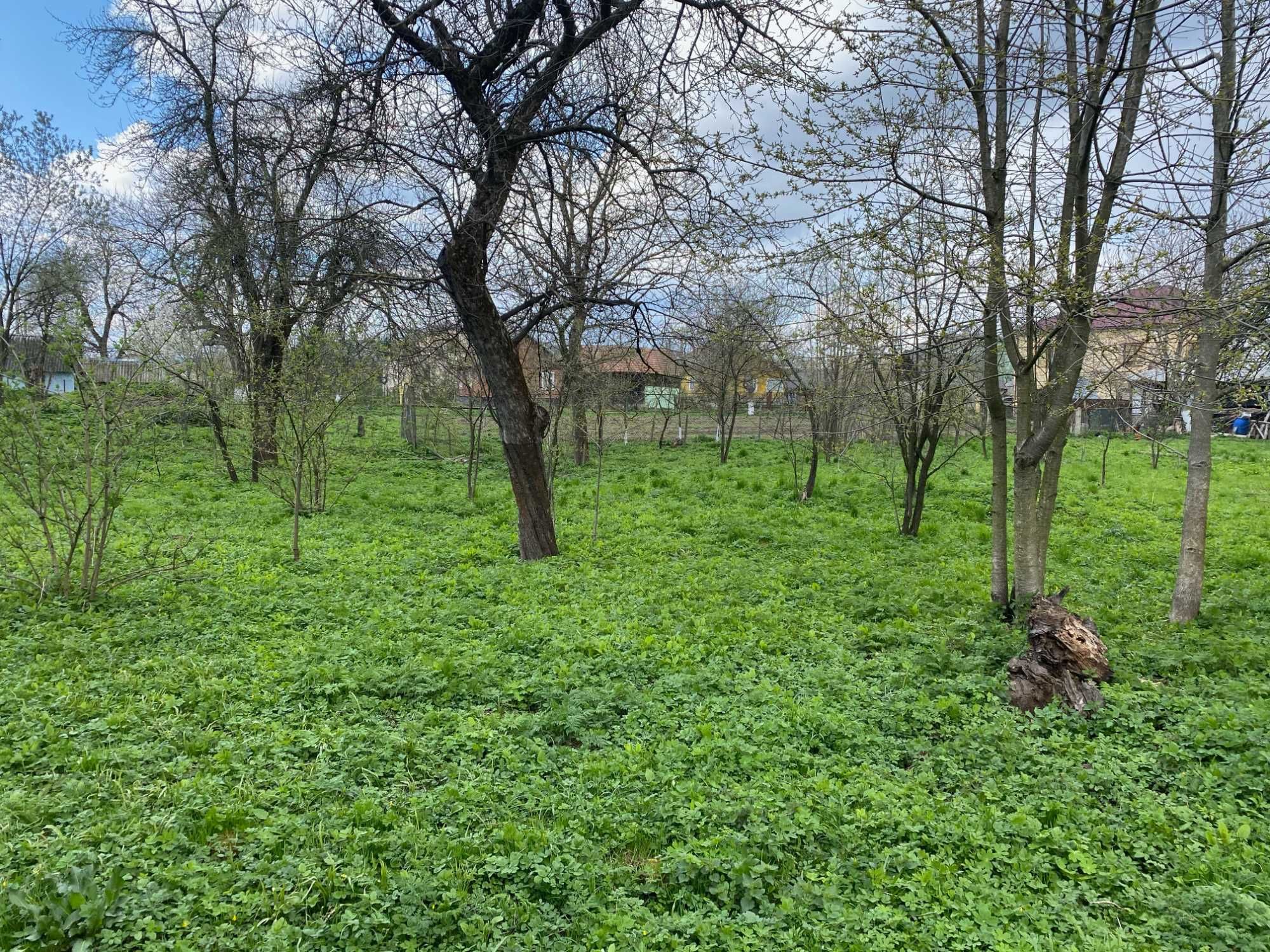 Земельна ділянка м. Хирів