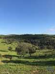 Terreno Agrícola em Safara e Santo Aleixo da Restauração de 8142893,00