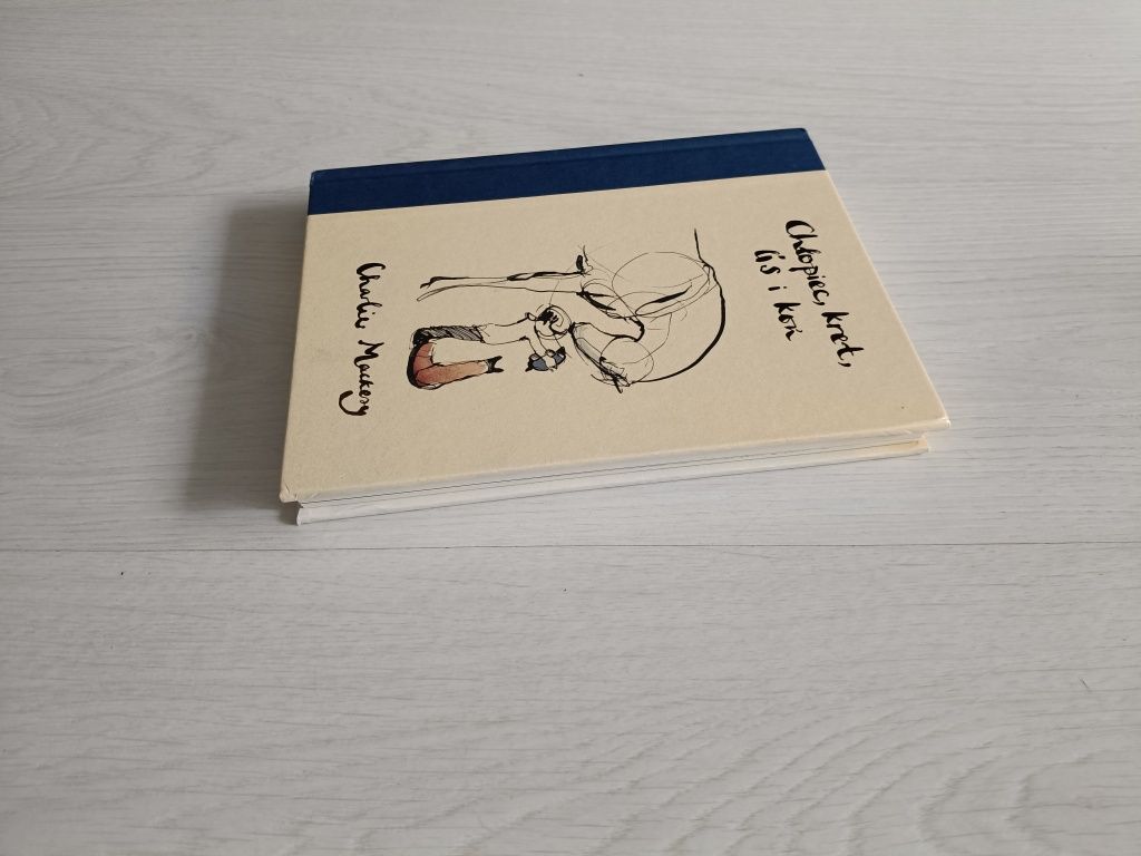 Książka chłopiec kret lis i koń Charlie Mackesy