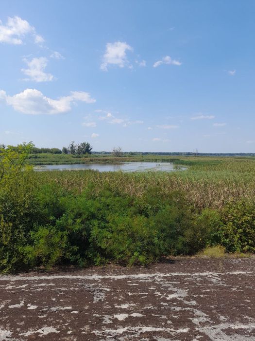 Можливий Обмін на авто Прадо 20 сотих вихід на Дніпро Проців Процев