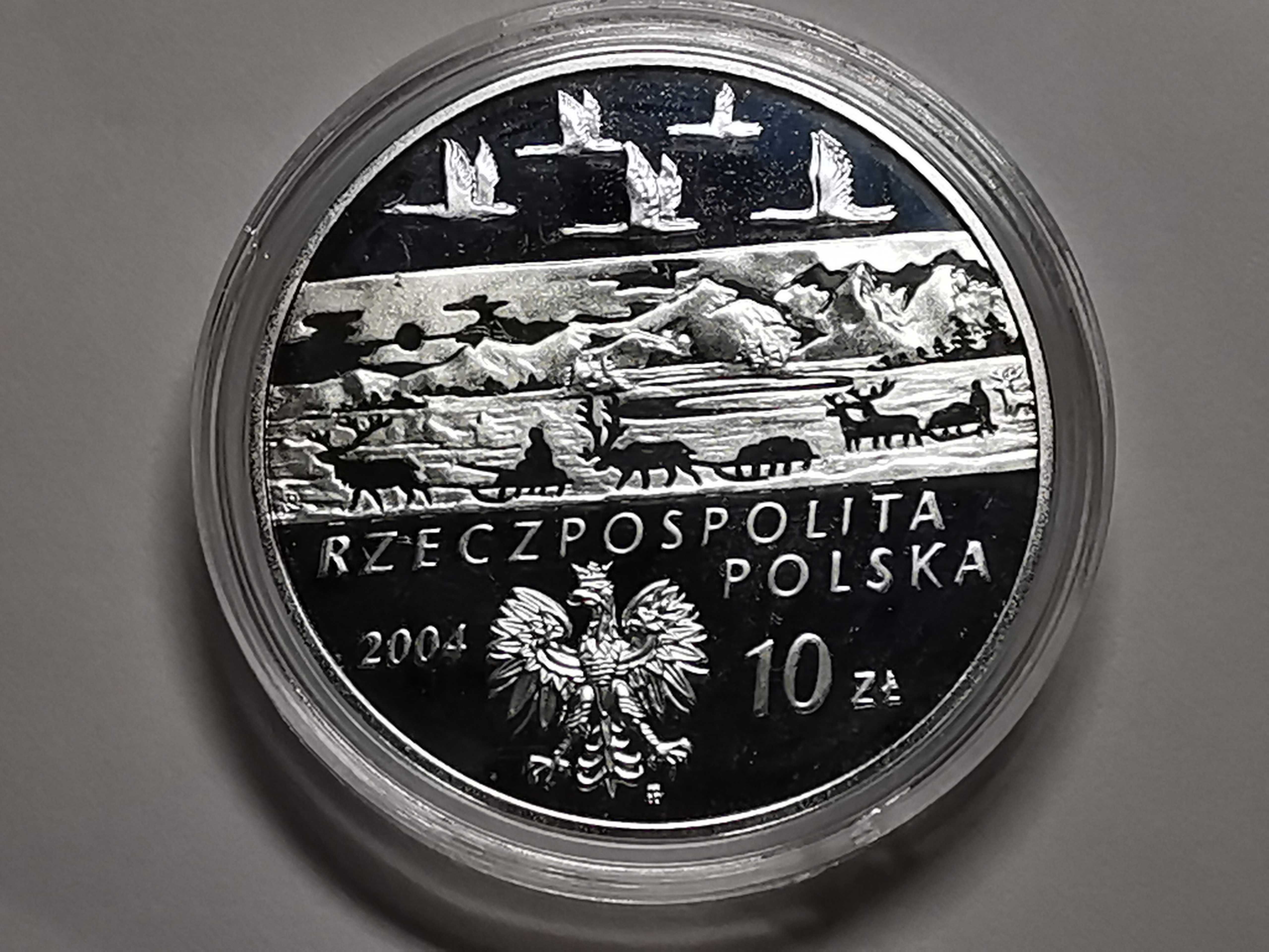 Moneta Aleksander Czekanowski - Lustrzanka 10zł