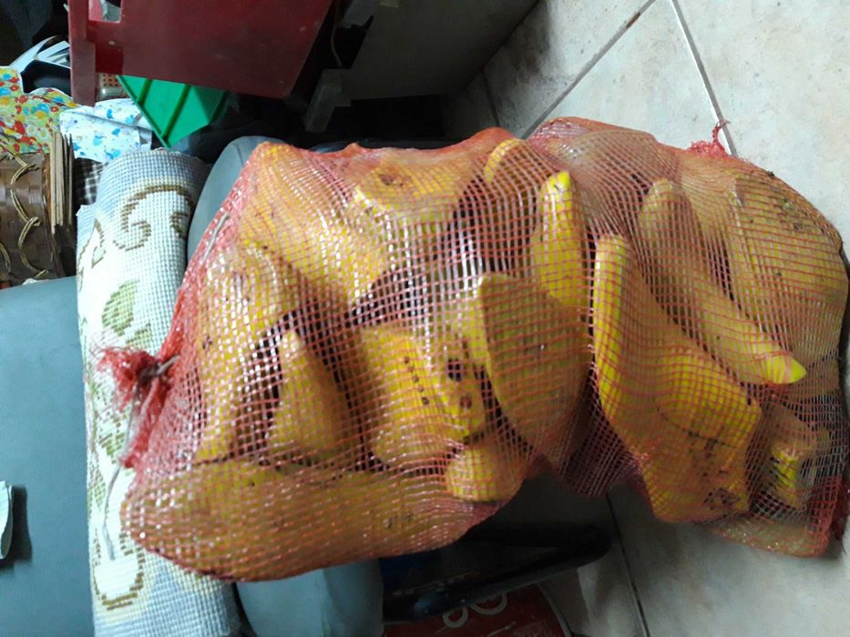 Formas sapatos varias cores e colecções