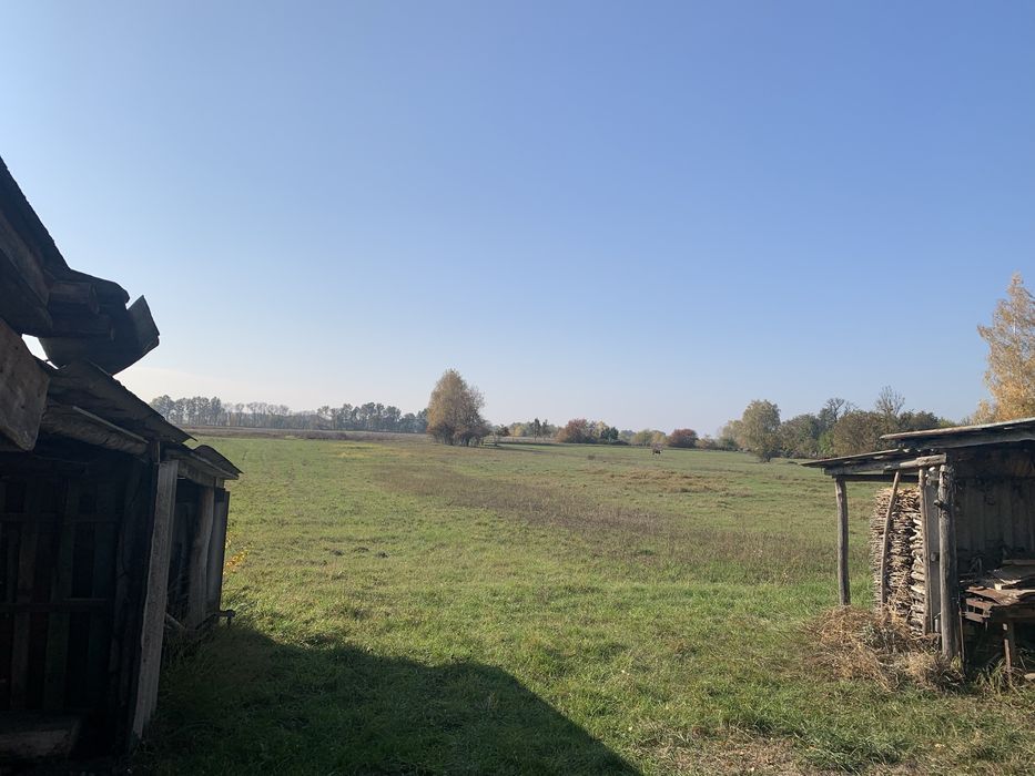 Будинок з ділянкою