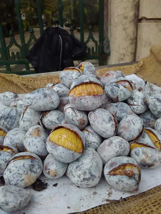 Assadora de castanhas assadas para eventos da época de são martinho
