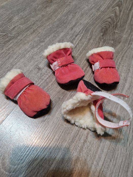 Buty papcie dla małego psa kota