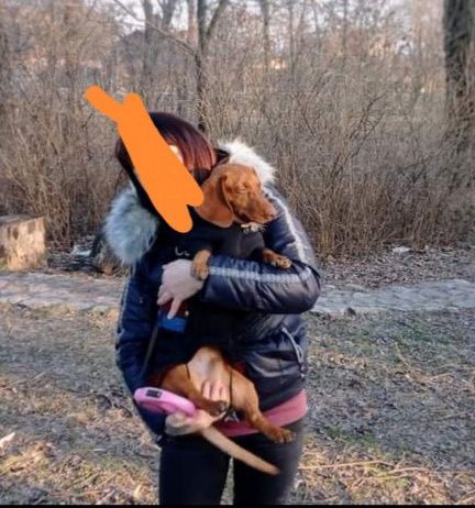 Куртка пуховик зима пух перо