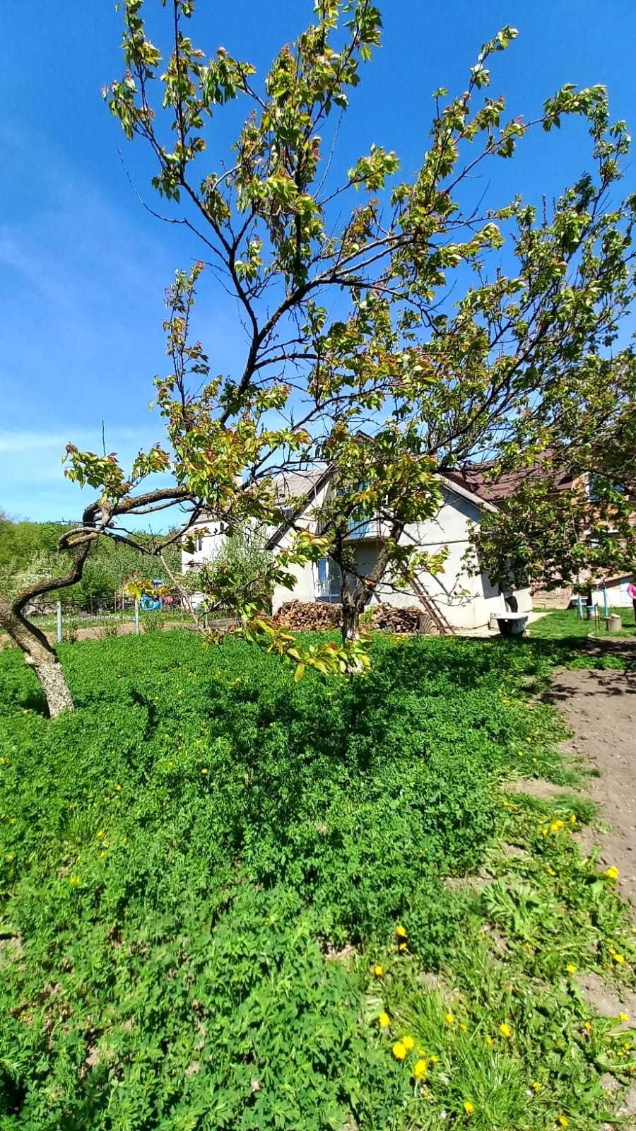 Продаж домогосподарства в ближньому Лезнево. Вул. Підкови.