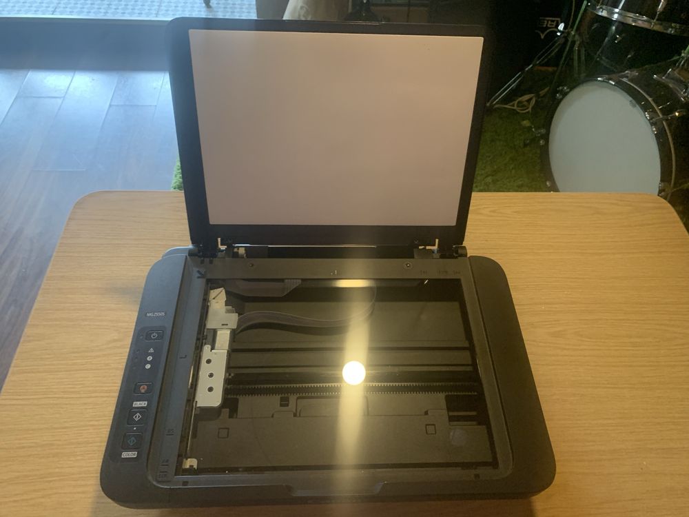 Impressora Canon MG2550S