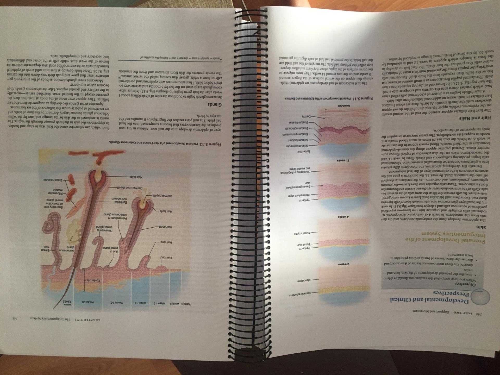 Livro Saladin - Anatomia