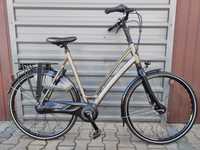 Gazelle Chamonix C8+  D57 D53 Shimano Nexus Like Batavus Koga