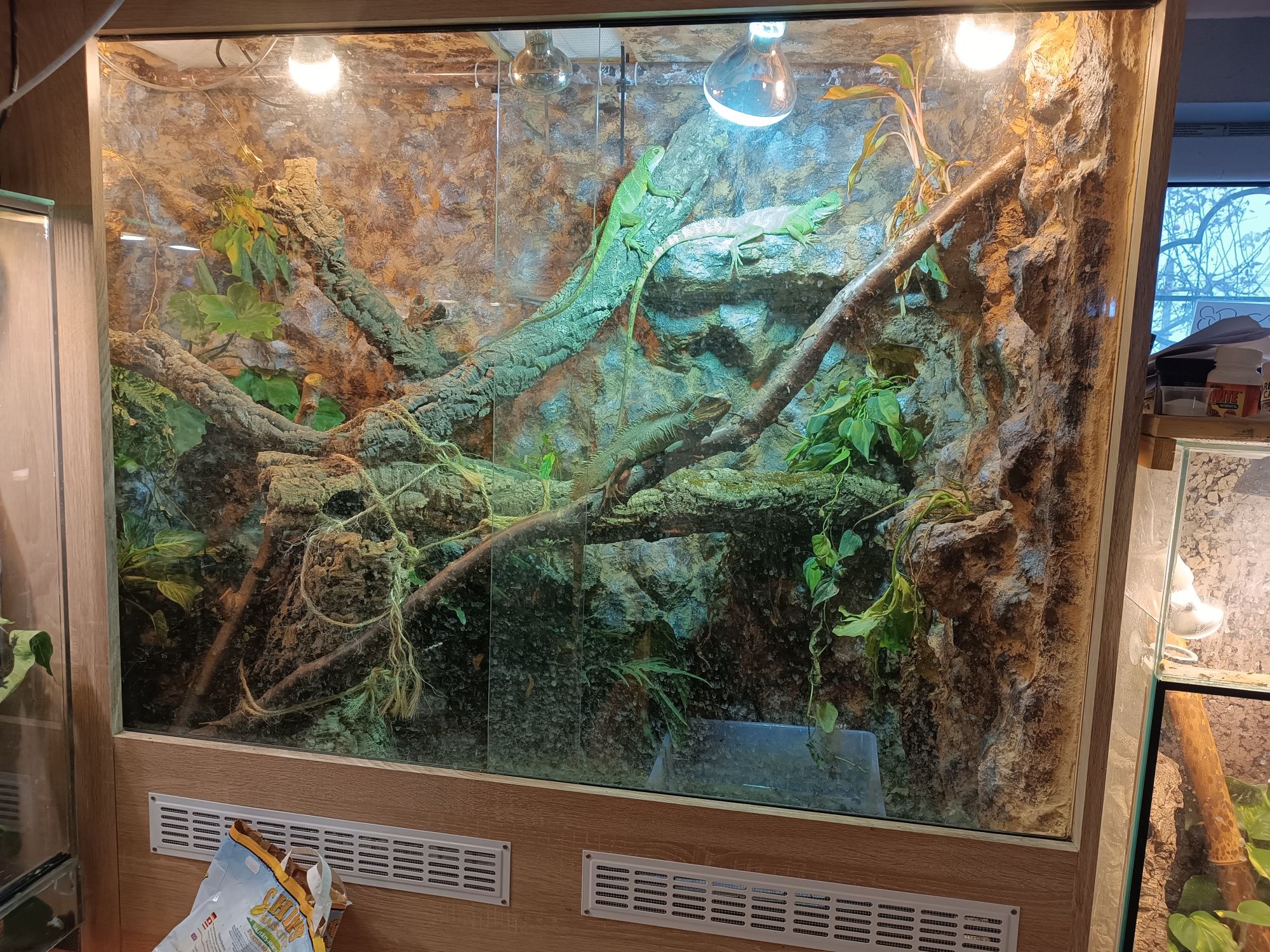 Terrarium szkło, płyta meblowa, rack system