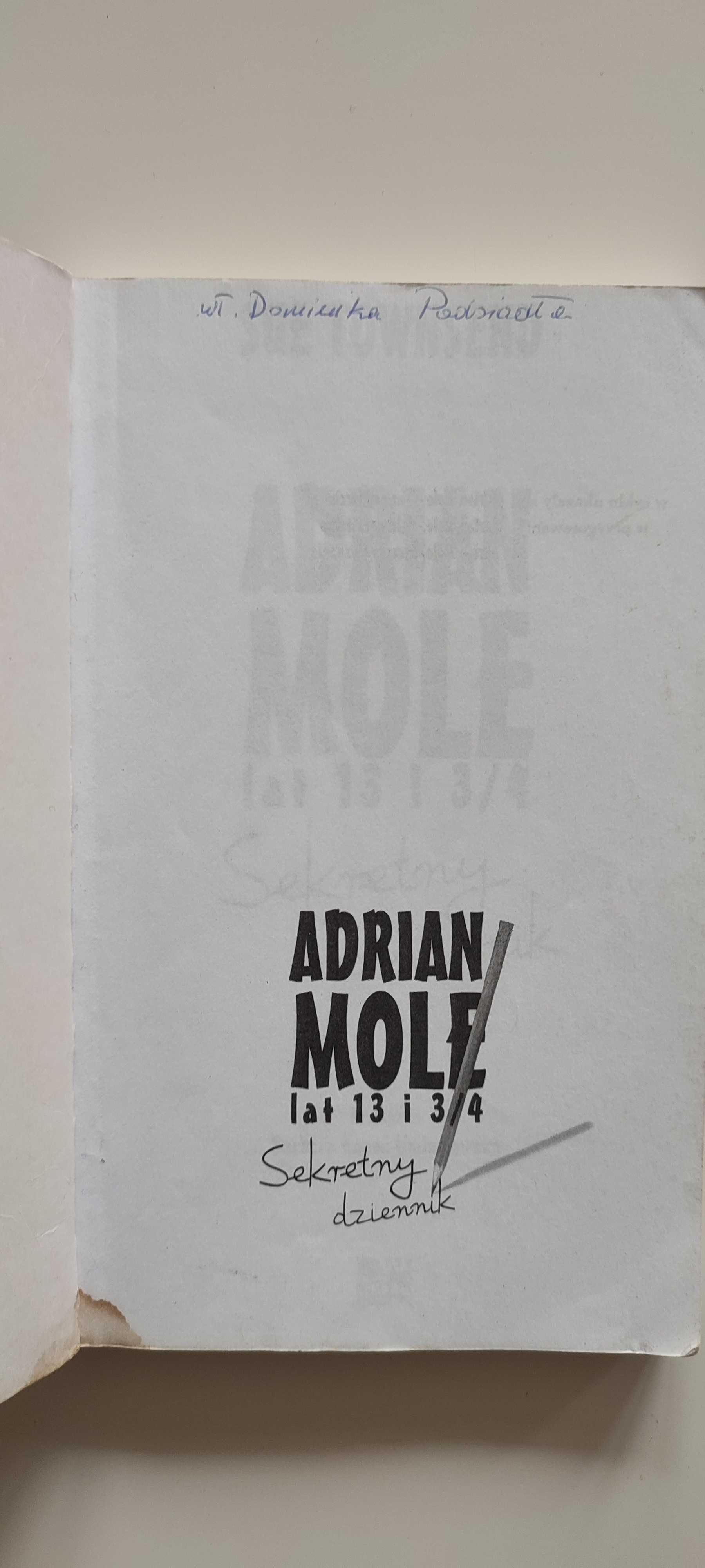 Adrian Mole lat 13 i 3/4. Sekretny dziennik - Sue Townsend
