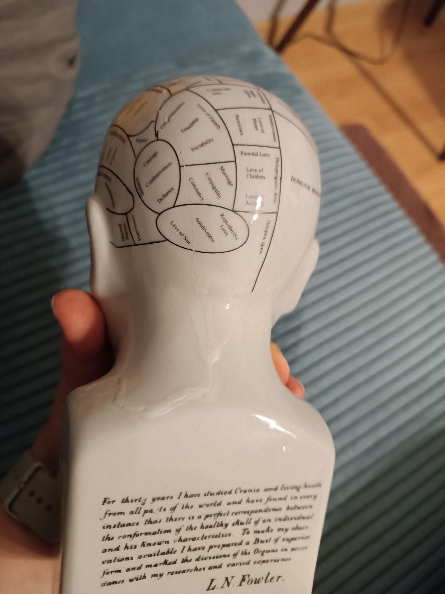 Figurka phrenology