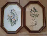 Quadros Vintage elegantes