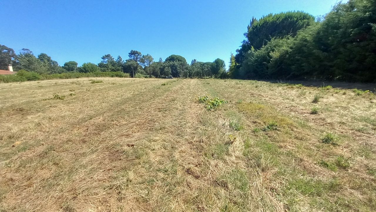 Terreno 10.000 m2 Santarém