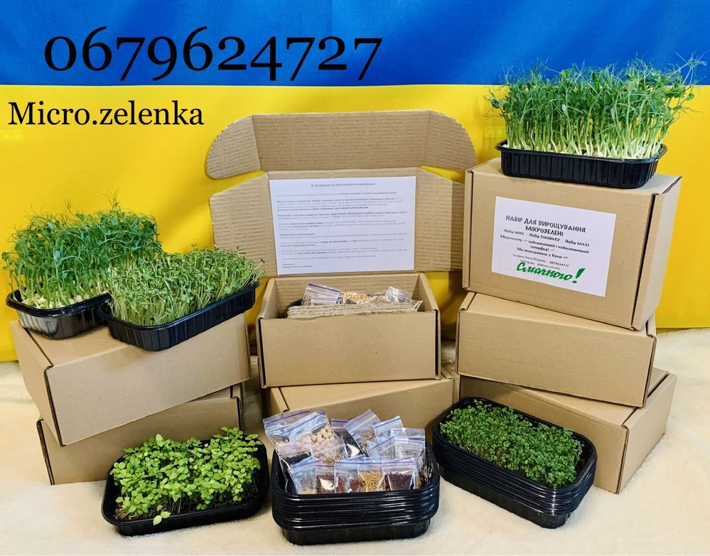 МІКРОЗЕЛЕНЬ Набір мікрозелені / мікрогрін для вирощування