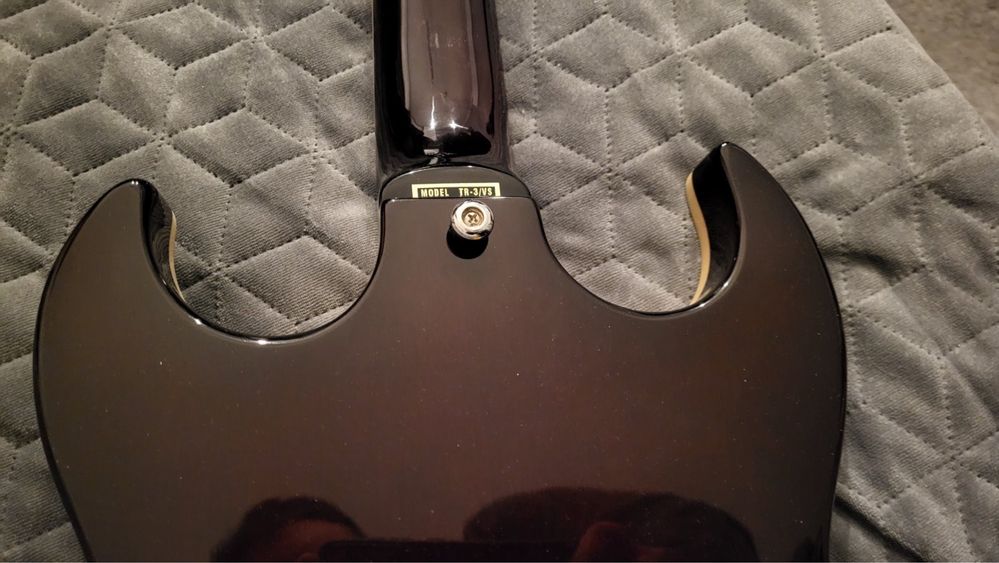 Gitara Samick Greg Bennett Torino TR2