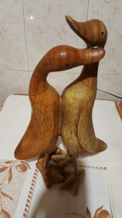 Casal de patos enamorados