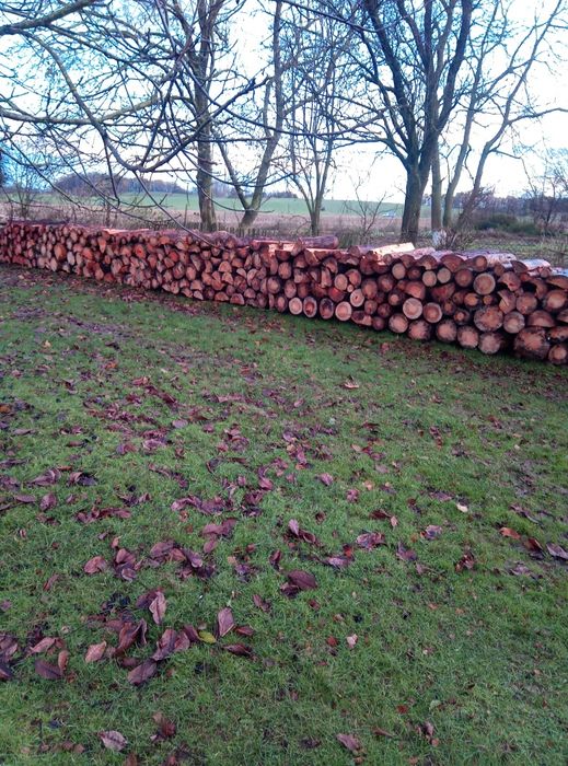 Sprzedam drewno opałowe