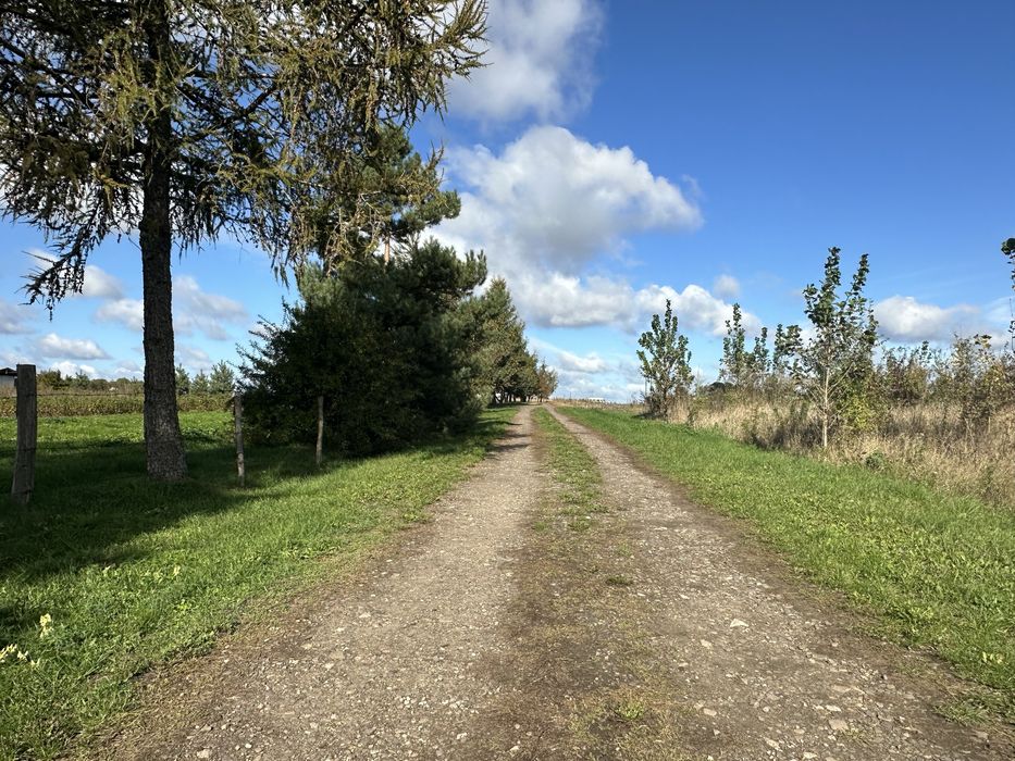 Ділянка під житлову забудову 2,54 га с. Біла