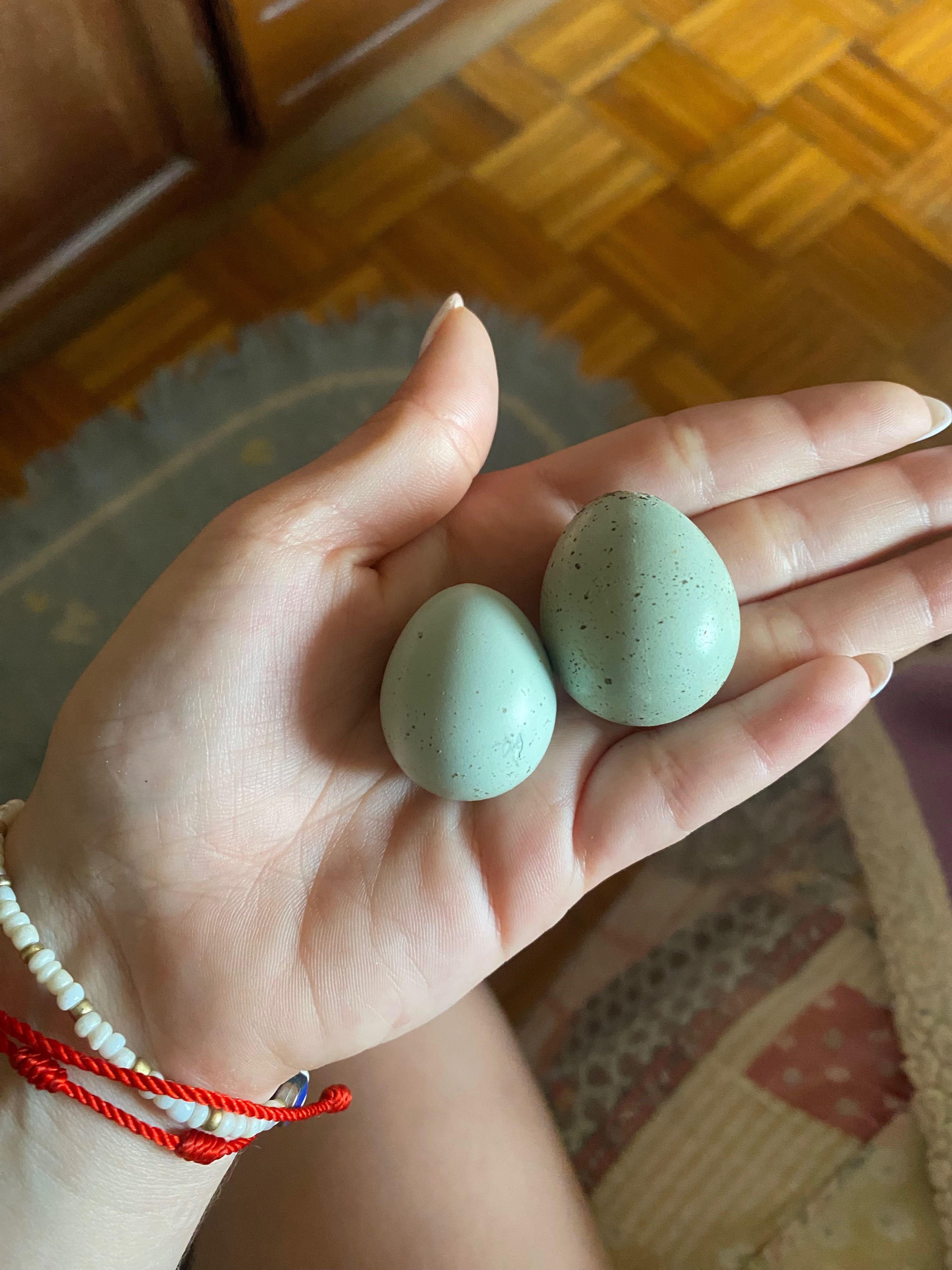 Ovos de codorniz