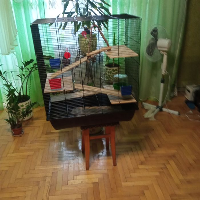 Клітка для папугая