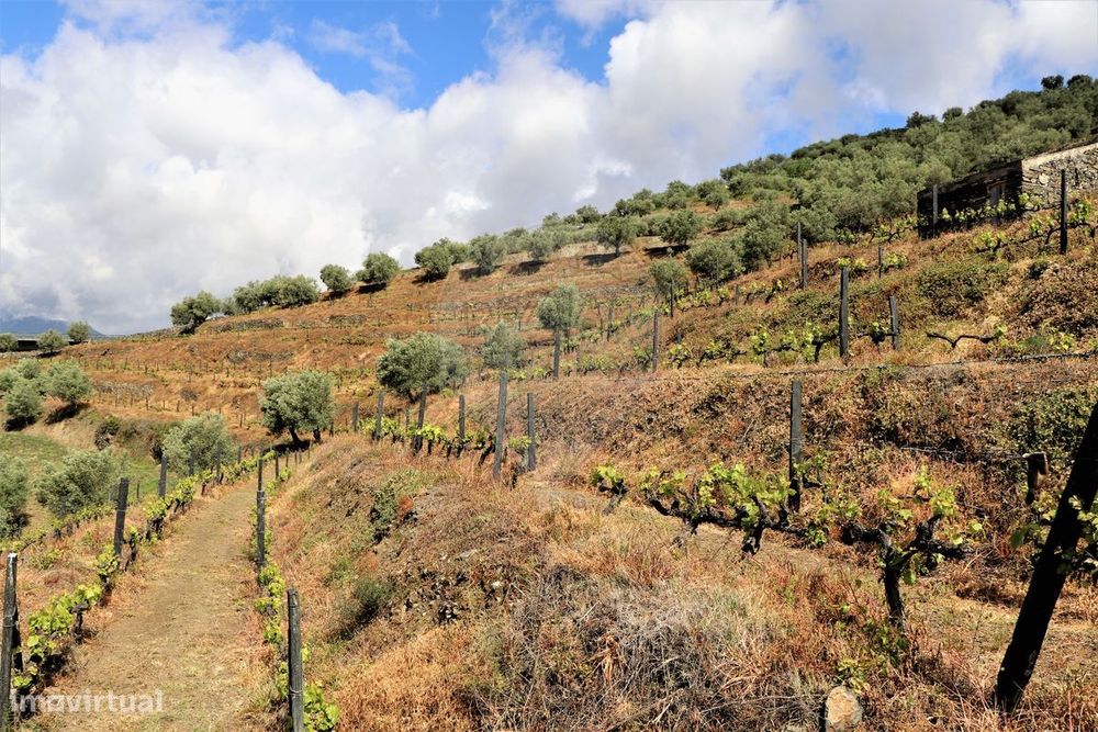 Terreno  para venda