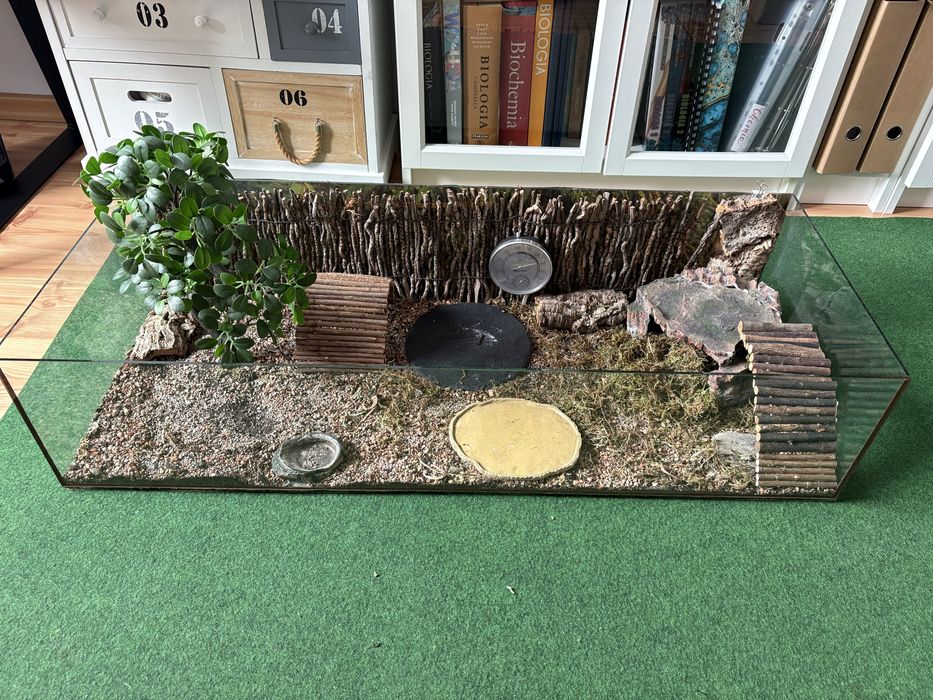 Terrarium szklane 100x40x23 dla gada