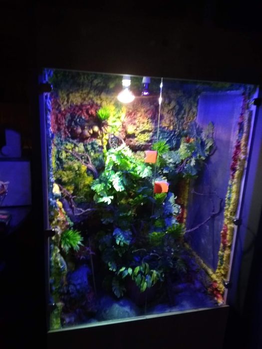 Sprzedam terrarium
