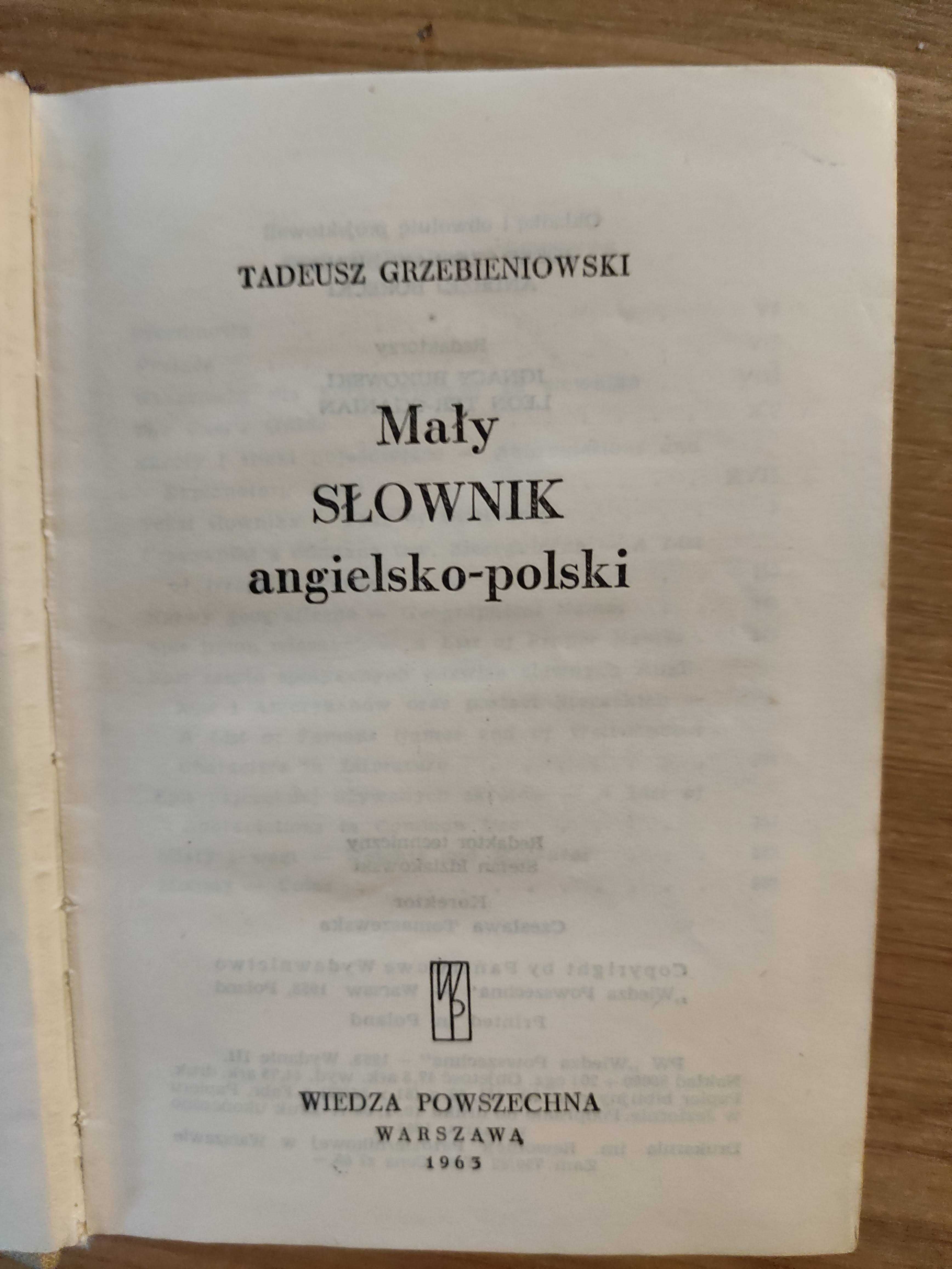 Mały słownik angielsko-polski - Tadeusz Grzebieniowski