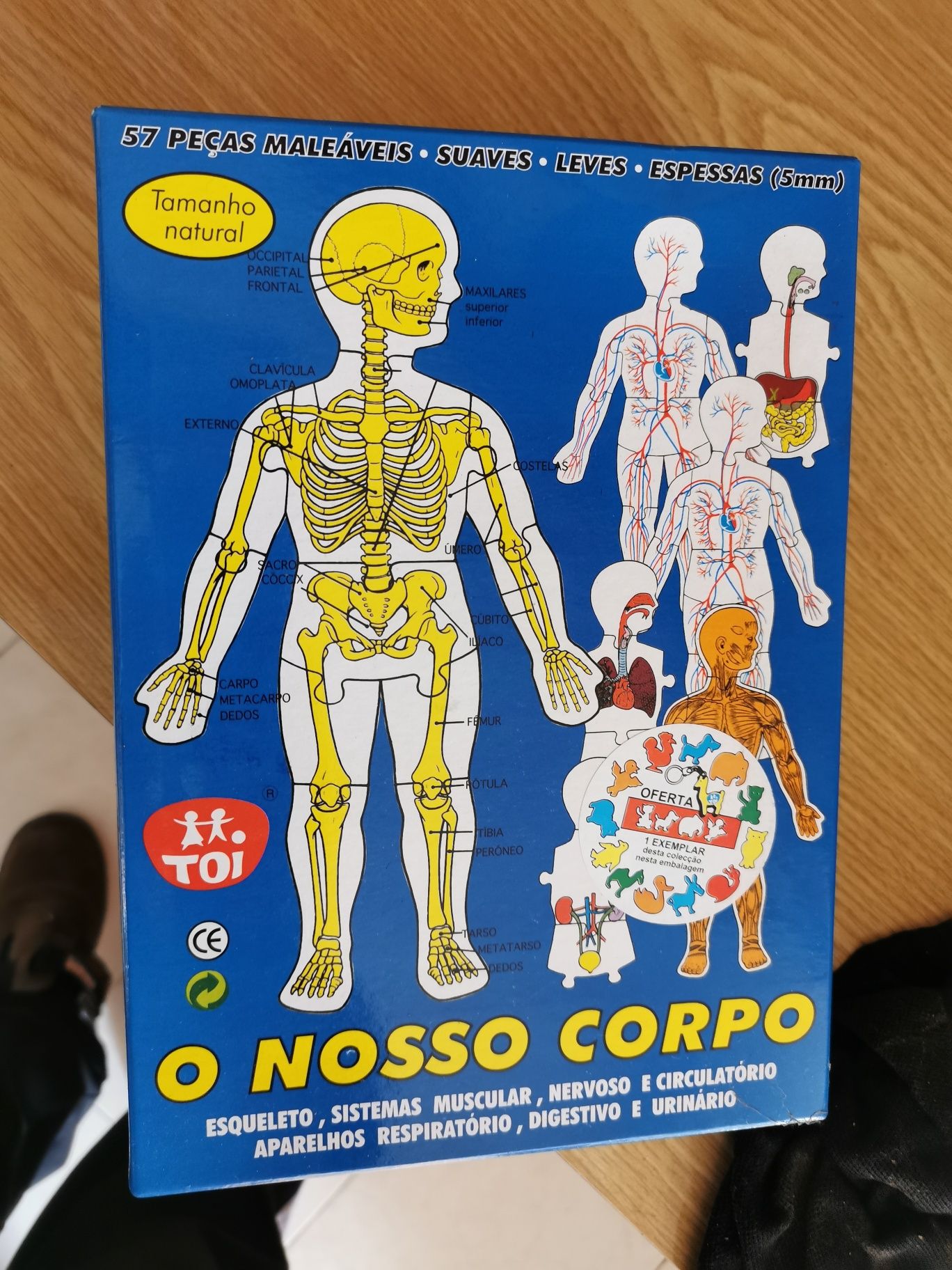 O corpo humano em puzzle