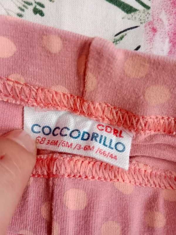 Spodnie legginsy dziewczęce Coccodrillo rozmiar 68