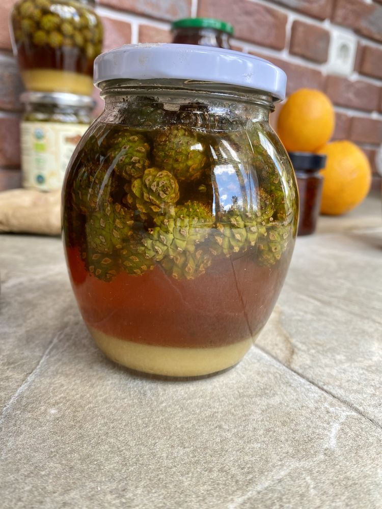 Соснові шишки в меду та Варення із соснових шишок