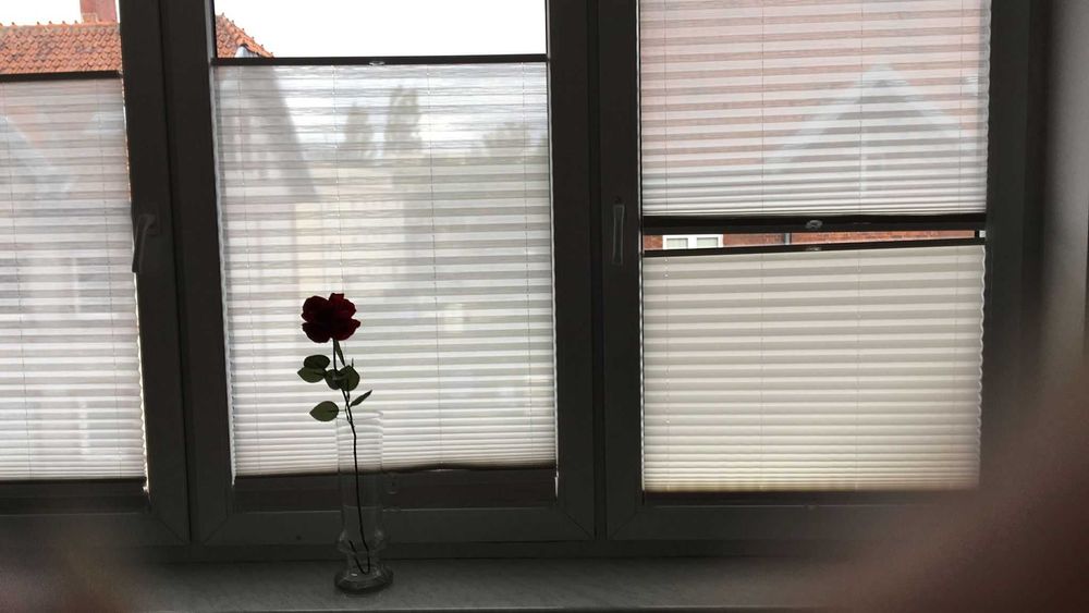 Oferuję 2-pokojowe mieszkanie do wynajęcia