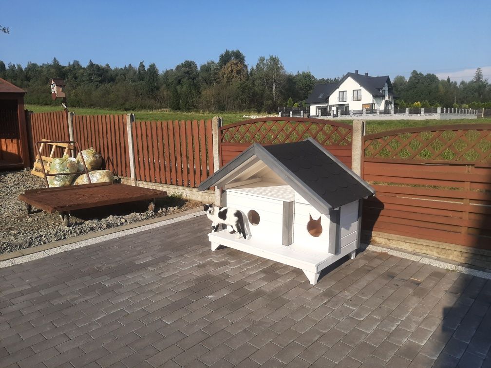 Buda dla dwóch kotów