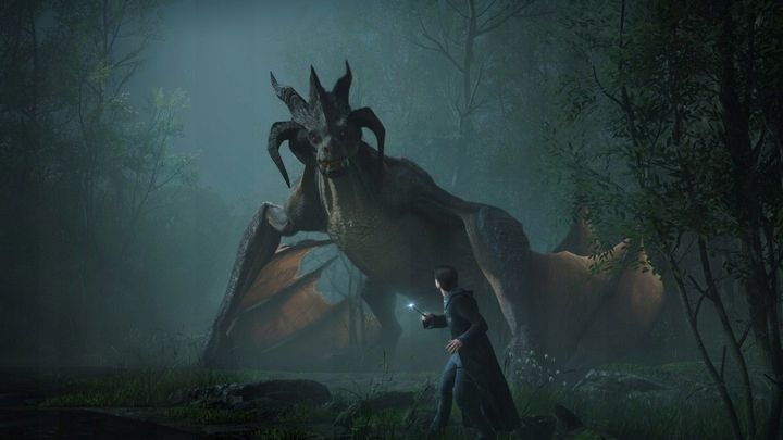 Dziedzictwo Hogwartu Hogwarts Legacy PL Gra na PS4