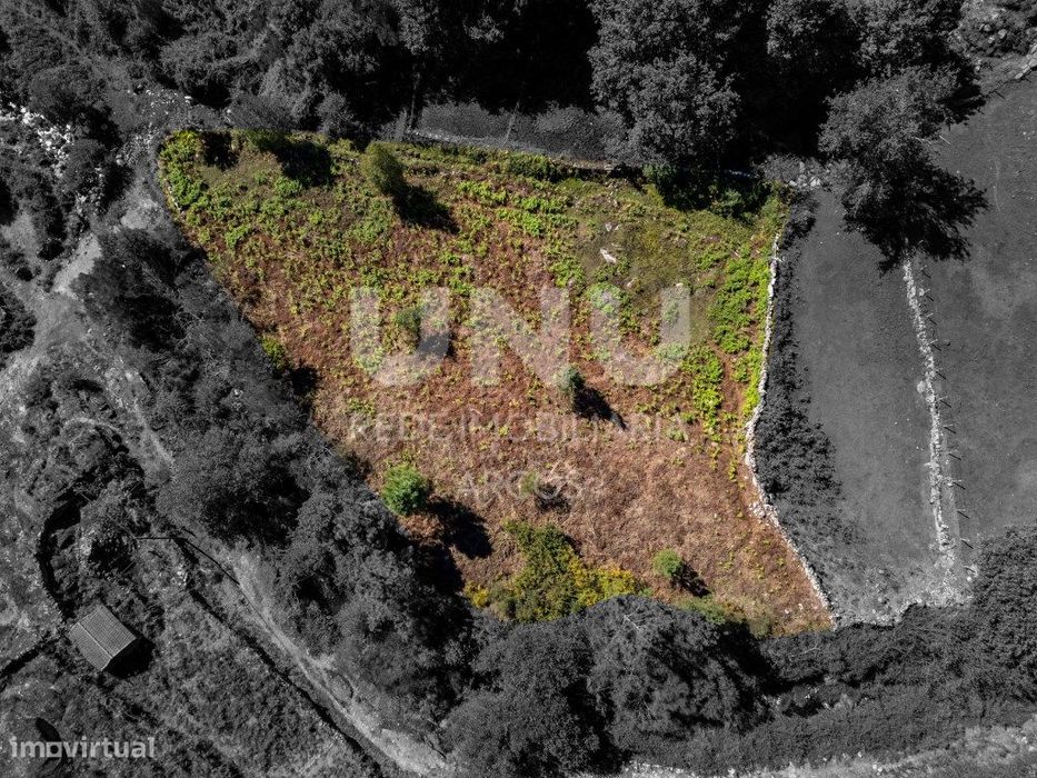 Terreno Plano E De Fácil Acesso