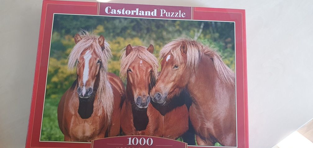 puzzle 1000 kawałków