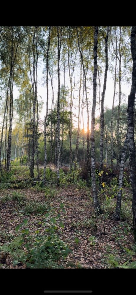 Dom Jednorodzinny spokojna okolica otoczona Lasem 95 M2