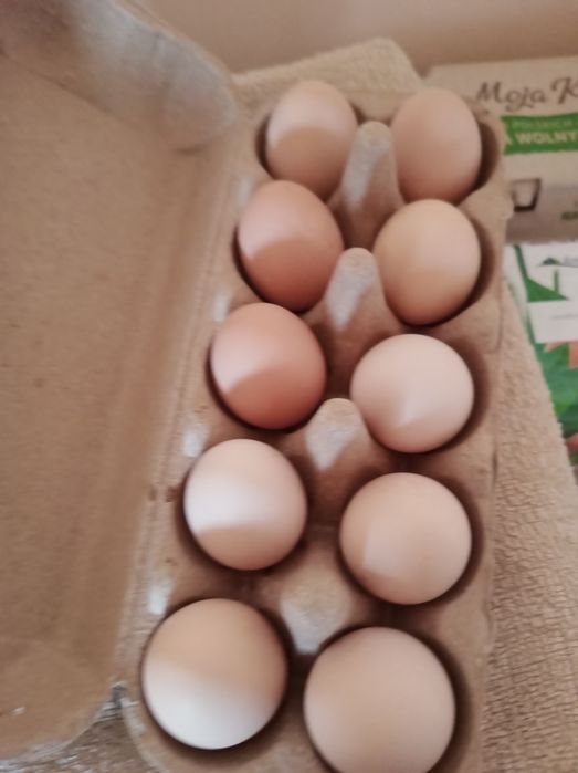 Jaja wiejskie...