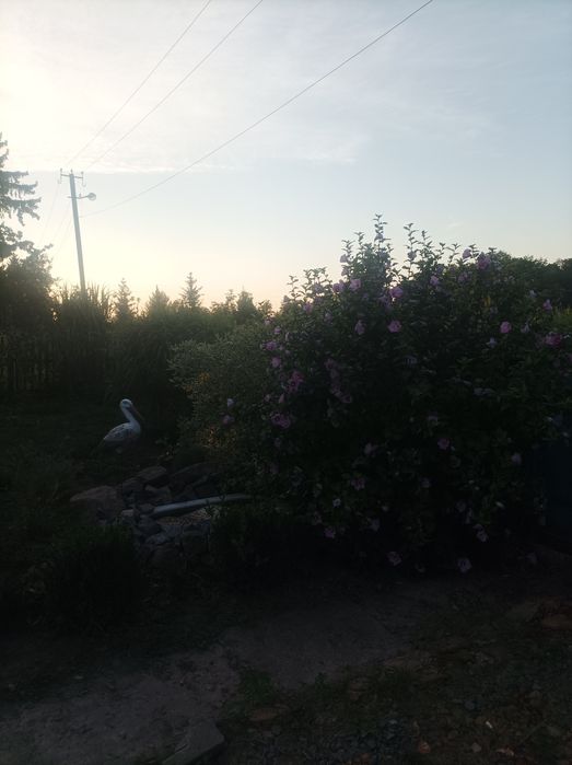 Продам будинок с. Людовка