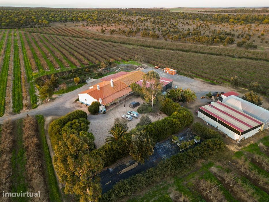 Quinta T3 para venda