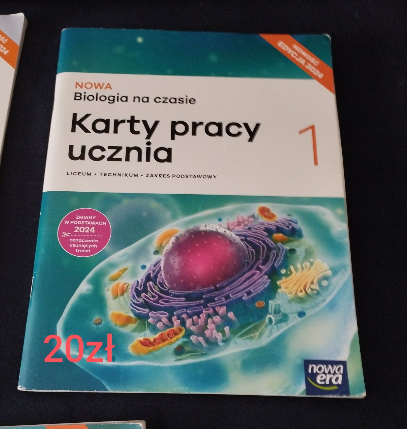 Ćwiczenia do 1 klasy liceum z nowej ery