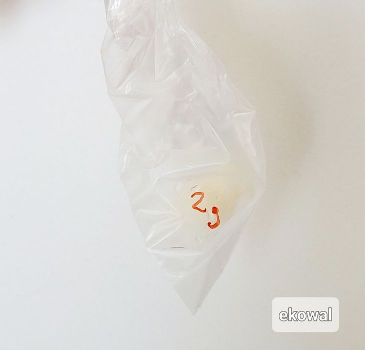 Grzybek tybetański ziarno kefirowe kefir instrukcja starter 2 gr.