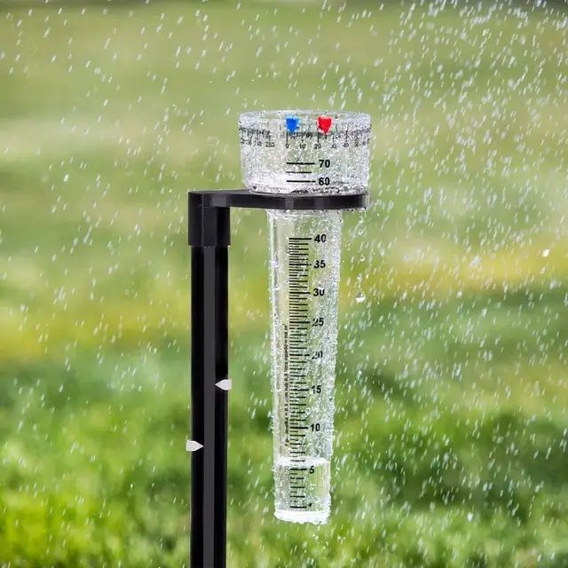 Опадомір з ніжкою дощемір