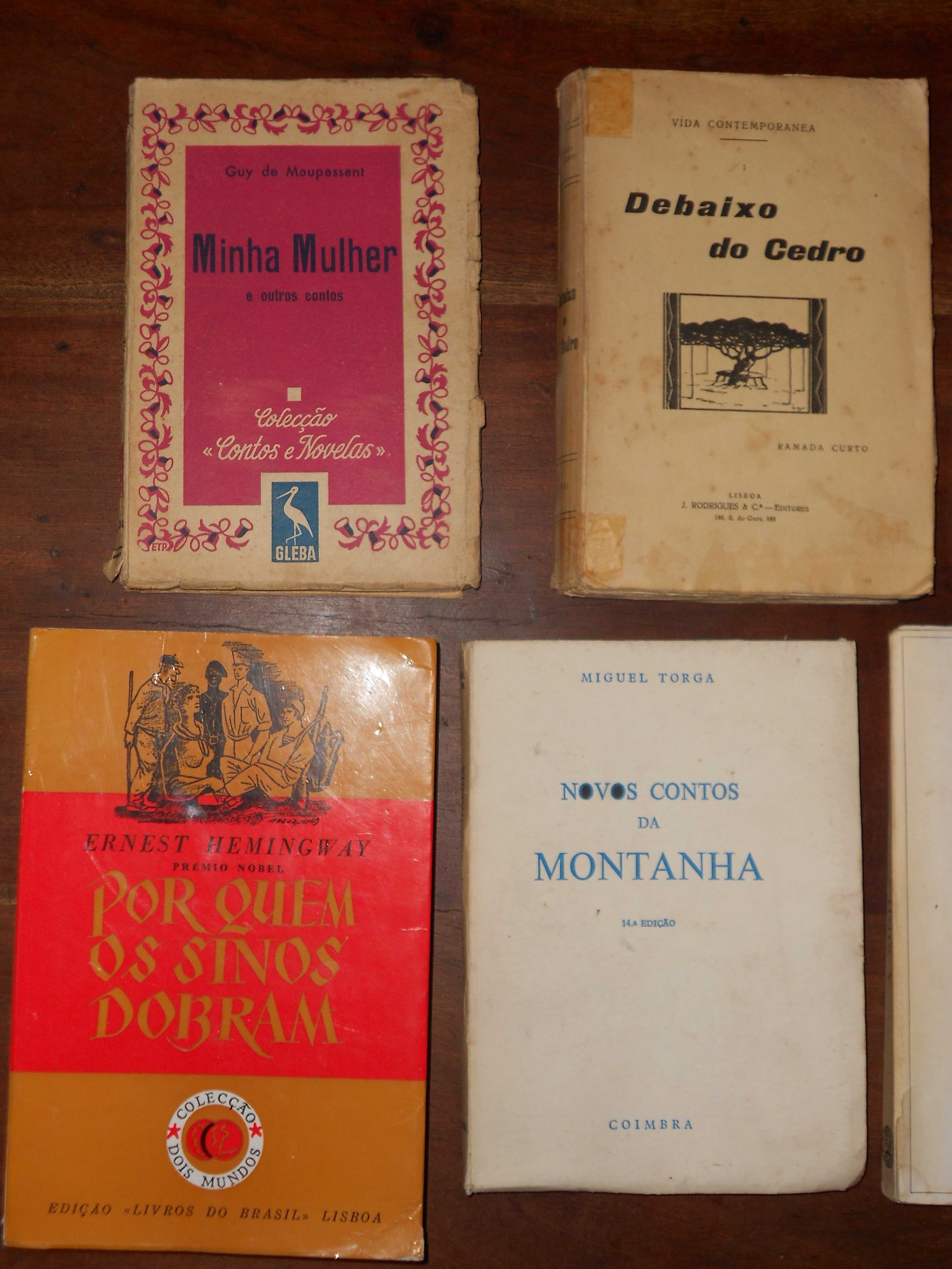 Livros Ferrao Matos, Maupassant, Torga, Bessa-Luis, Curto, Hemingway